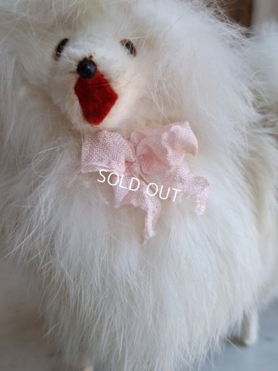 画像6: ジュモードッグ