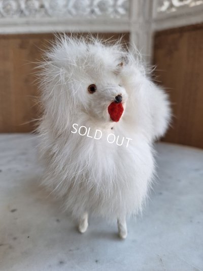 画像18: ジュモードッグ