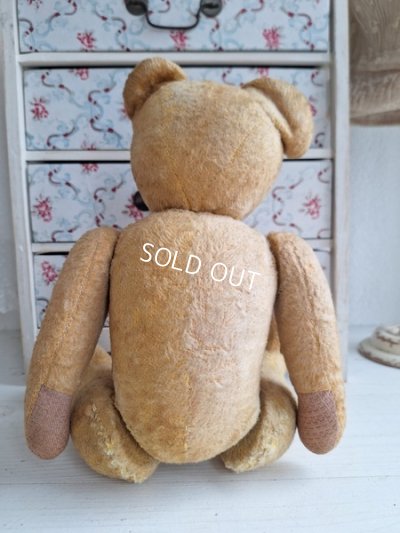 画像9: アンティークフレンチテディベア