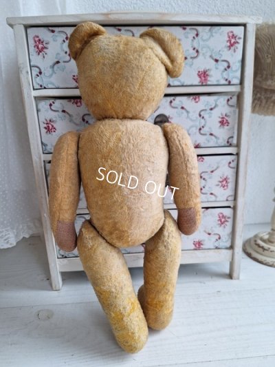 画像12: アンティークフレンチテディベア