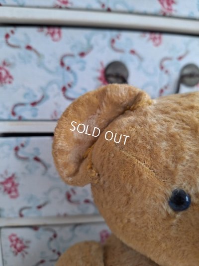 画像5: アンティークフレンチテディベア