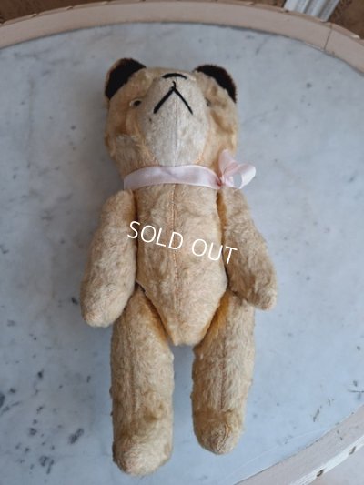 画像7: JPMフレンチテディベア
