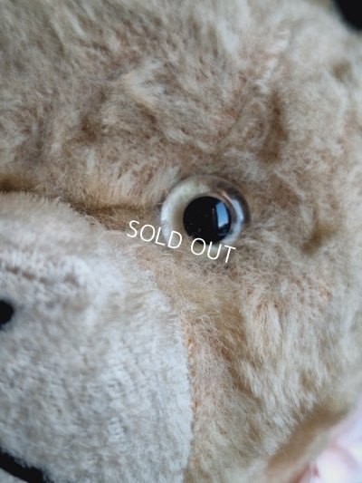 画像5: JPMフレンチテディベア