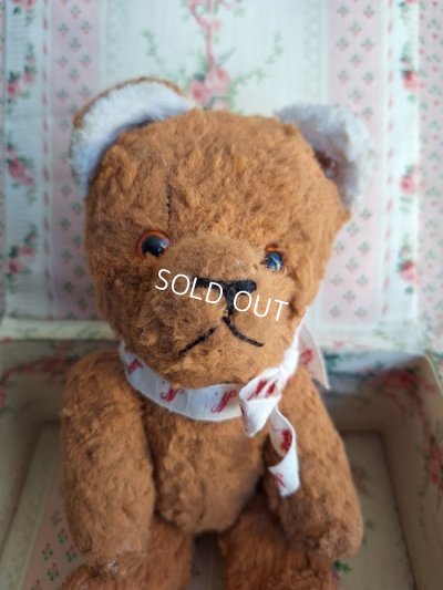 画像2: JPMフレンチテディベア　