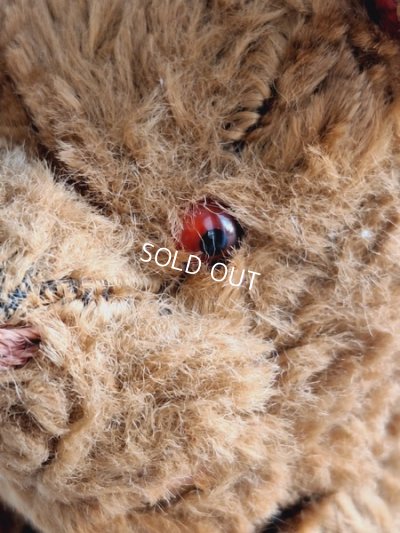 画像5: JPMフレンチテディベア