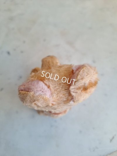 画像5: JPMフレンチテディベア