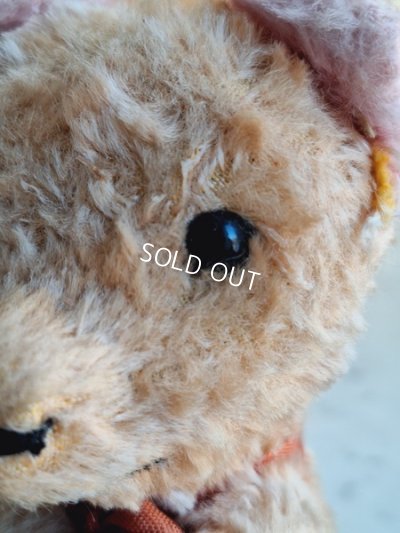 画像7: JPMフレンチテディベア