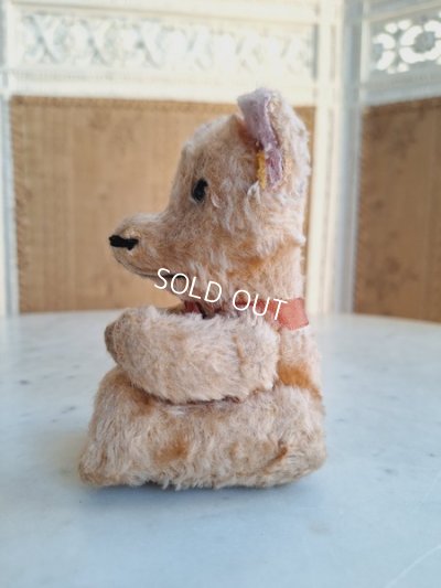 画像14: JPMフレンチテディベア