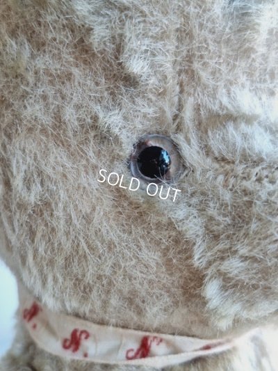 画像5: JPMフレンチテディベア