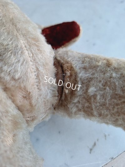 画像18: JPMフレンチテディベア