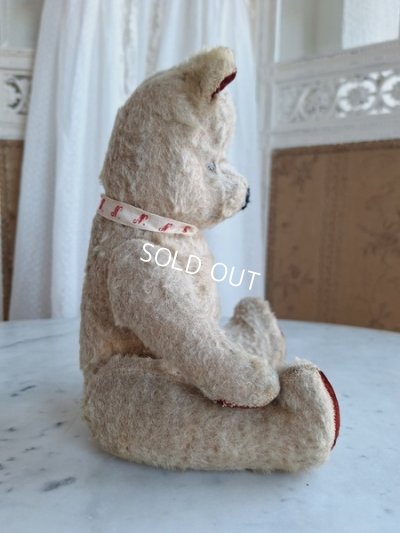 画像12: JPMフレンチテディベア