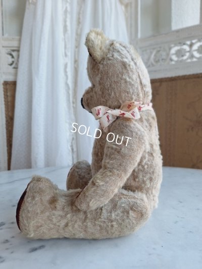 画像14: JPMフレンチテディベア