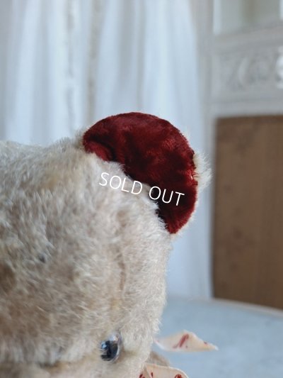 画像8: JPMフレンチテディベア