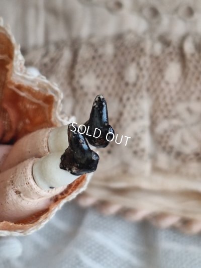 画像7: アンティークビスクドール