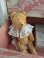 smallteddybear