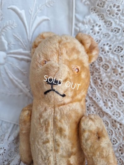 画像6: アンティークピーナッツベア