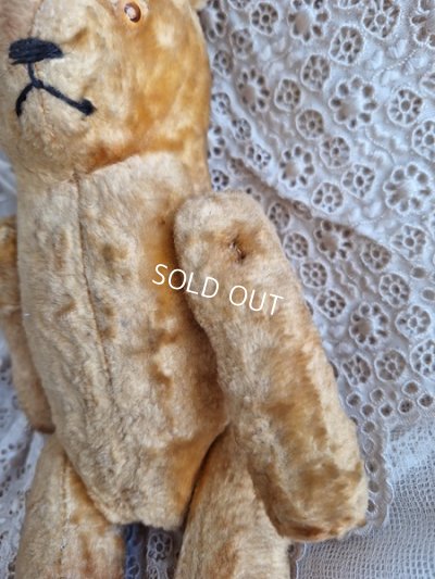 画像7: アンティークピーナッツベア