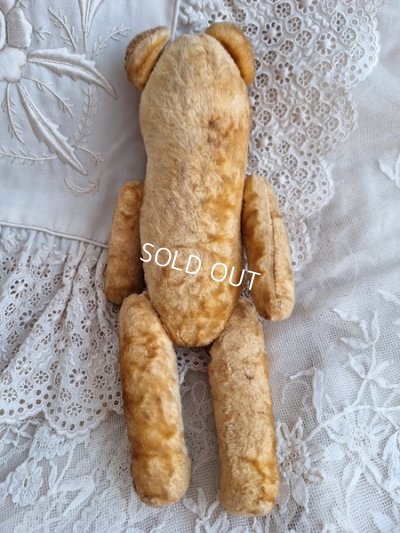 画像8: アンティークピーナッツベア