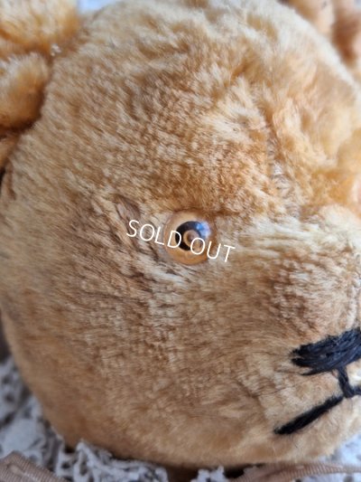 画像4: アンティークピーナッツベア