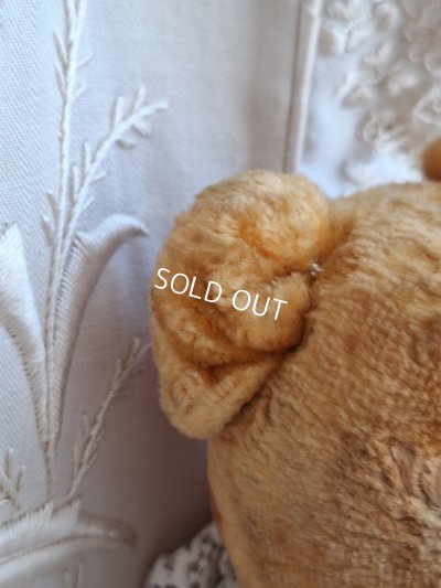 画像14: アンティークピーナッツベア