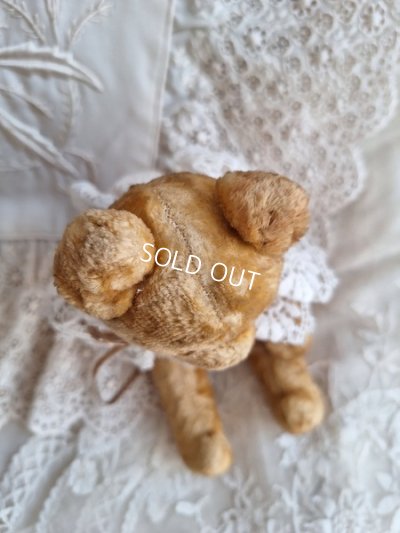 画像12: アンティークピーナッツベア