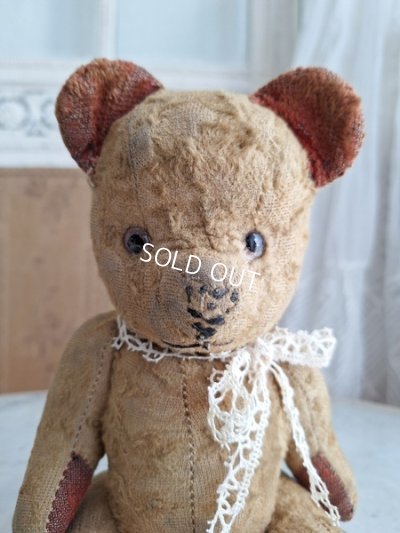 画像2: JPMフレンチテディベア