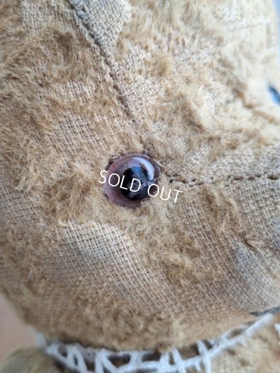 画像4: JPMフレンチテディベア