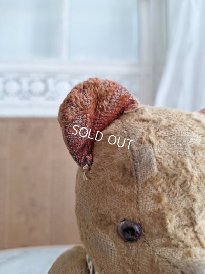 画像6: JPMフレンチテディベア