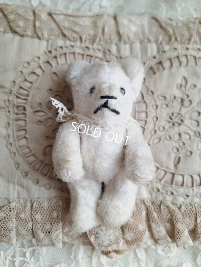 画像5: とても小さなピーナッツベア