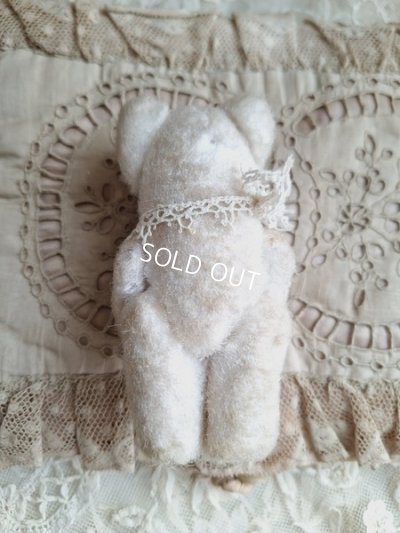 画像6: とても小さなピーナッツベア