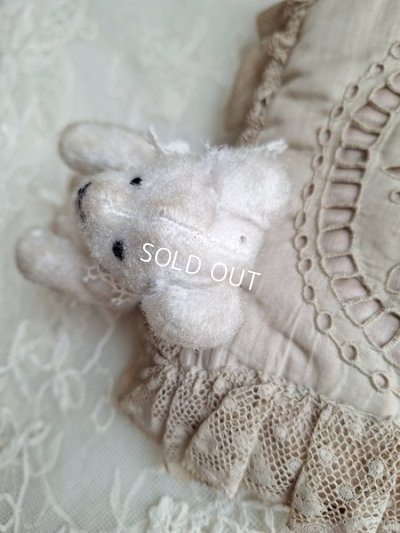 画像10: とても小さなピーナッツベア