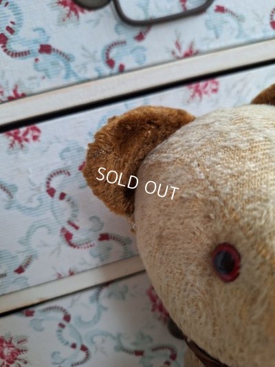 画像6: アンティークフレンチテディベア