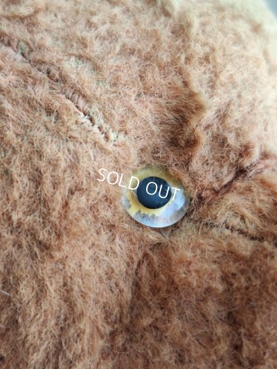 画像6: フレンチピンクテディベア