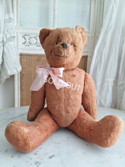 画像13: フレンチピンクテディベア