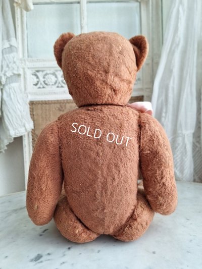 画像15: フレンチピンクテディベア