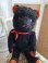 jpmblackbear