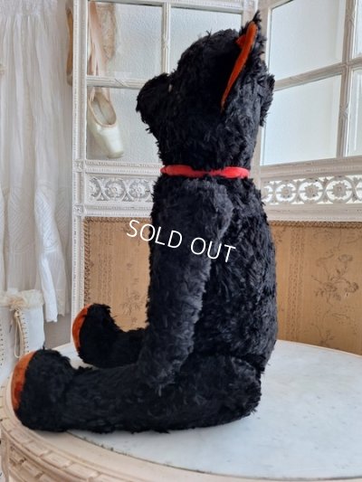 画像5: JPMブラックテディベア