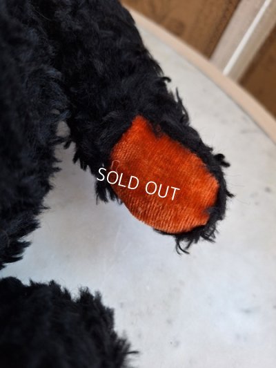 画像7: JPMブラックテディベア