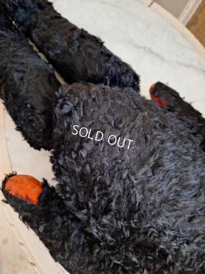 画像9: JPMブラックテディベア