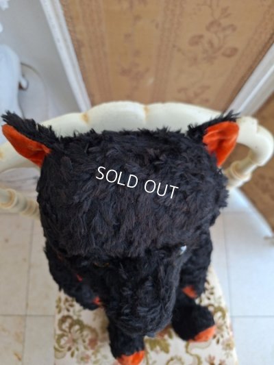 画像12: JPMブラックテディベア