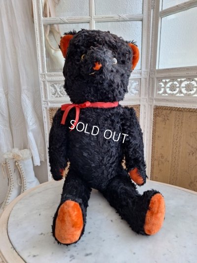 画像3: JPMブラックテディベア