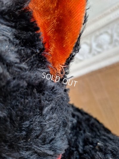 画像14: JPMブラックテディベア