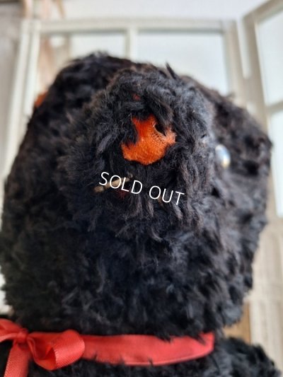 画像15: JPMブラックテディベア