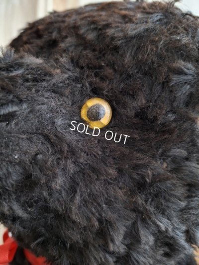 画像16: JPMブラックテディベア