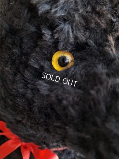 画像10: JPMブラックテディベア