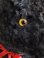 画像10: JPMブラックテディベア