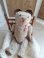jpmteddybear