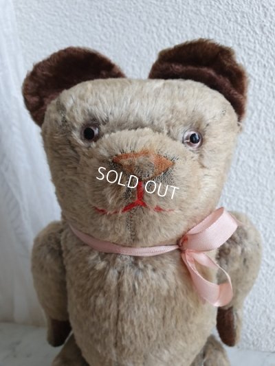 画像2: JPMフレンチテディベア