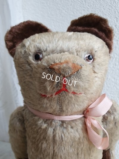 画像5: JPMフレンチテディベア