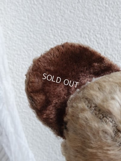 画像7: JPMフレンチテディベア